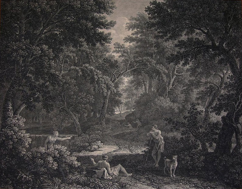Woodland with walkers, woman and dog