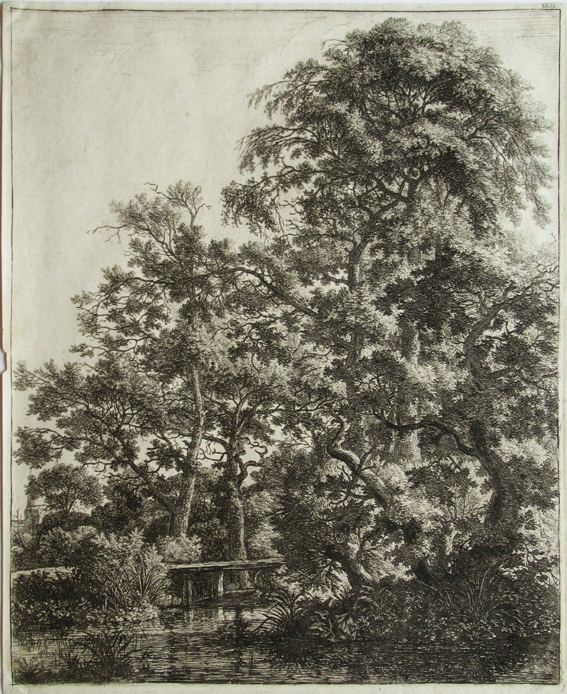 Two travellers by a stream in a wood