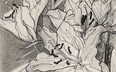 Andrew Davey – Lilies