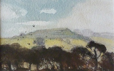 Jane Brayne