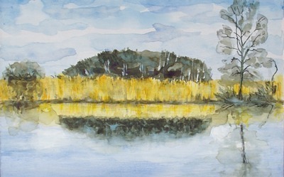 Penny Robinson – Winter on Shapwick Heath