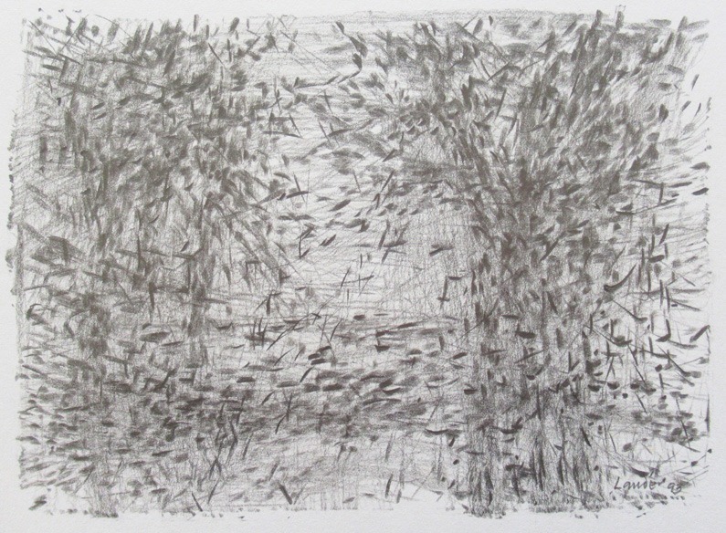 Drawing of two willow trees
