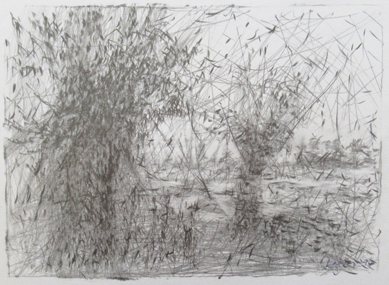Drawing of two willow trees