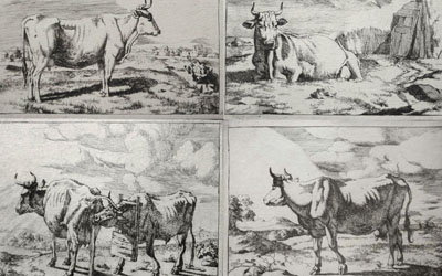 Marcus de Bye – Group of Four Cow prints